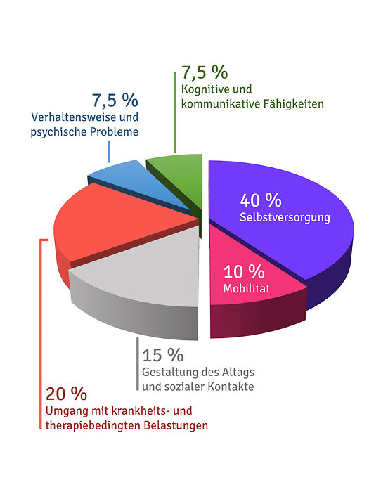 Module des Begutachtungsverfahren als Grafik